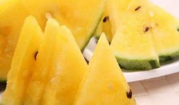 网红黑瓜吃料视频,揭秘网红美食背后的真相